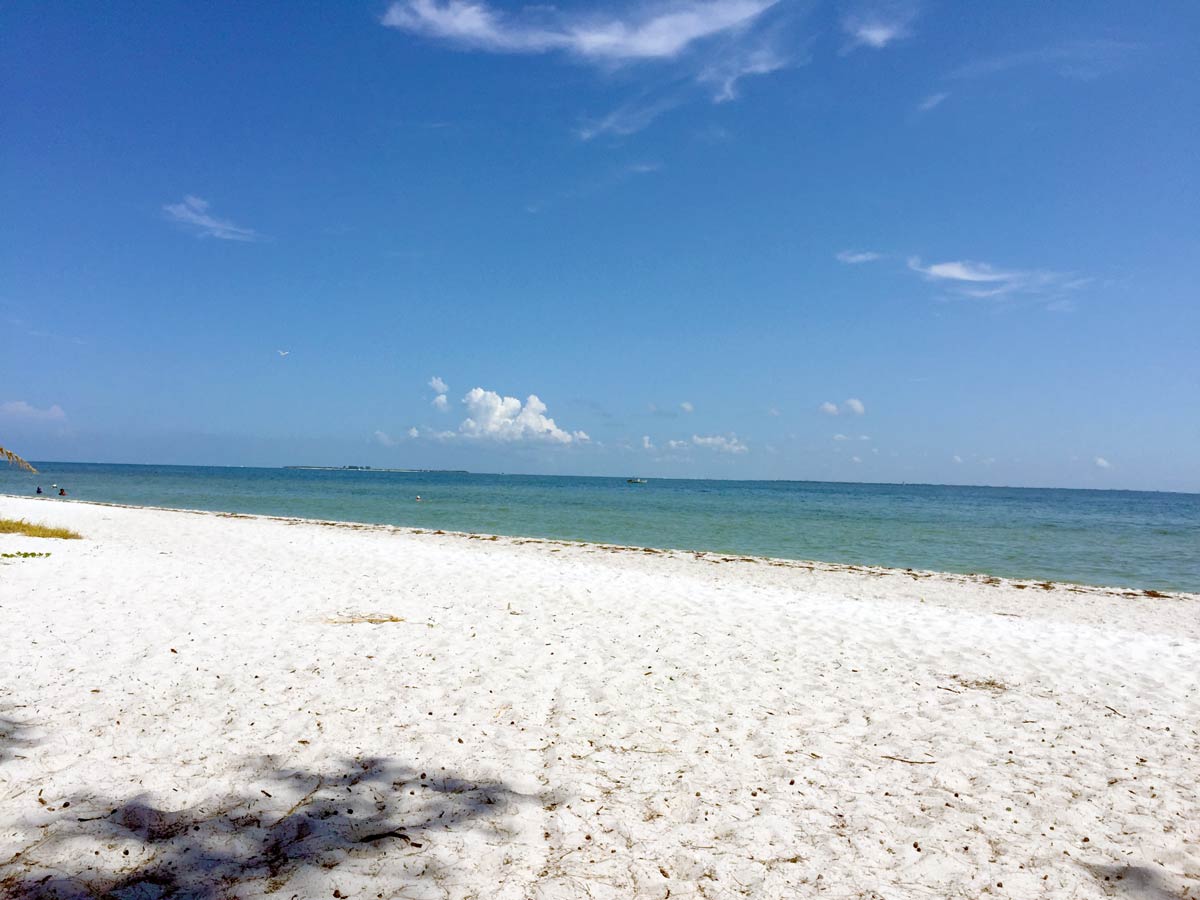 Sandy beach overlooking Tampa Bay.